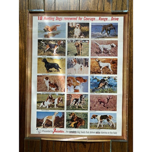 Friskies 18 Hunting Dogs Poster Outdoor Life Photos VINTAGE (20) - Picture 1 of 7
